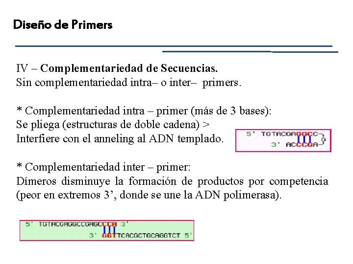 Diseño de Primers IV – Complementariedad de Secuencias. Sin complementariedad intra– o inter– primers.