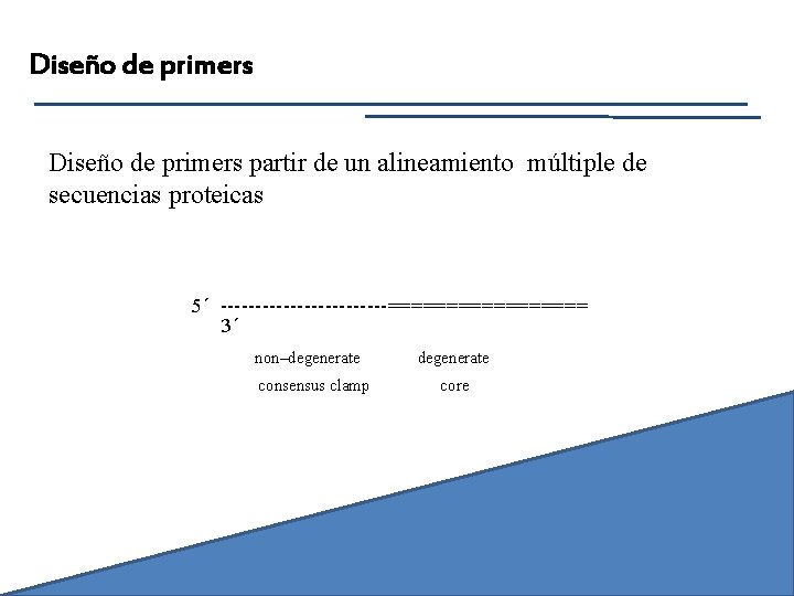 Diseño de primers partir de un alineamiento múltiple de secuencias proteicas 5´ ------------========= 3´