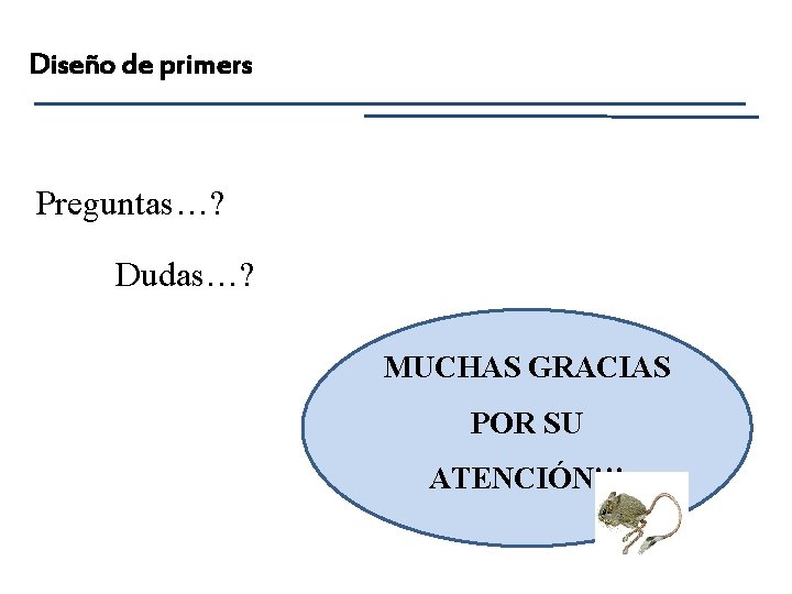 Diseño de primers Preguntas…? Dudas…? MUCHAS GRACIAS POR SU ATENCIÓN!!! 