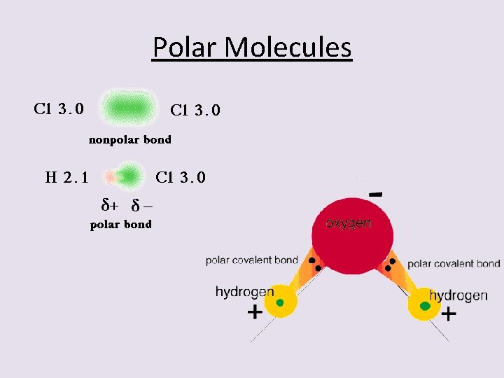 Polar Molecules 