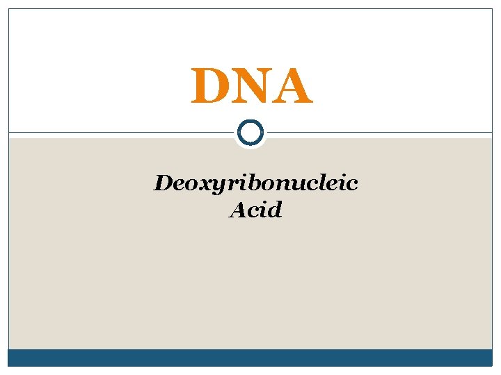 DNA Deoxyribonucleic Acid 