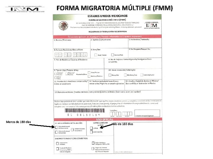 FORMA MIGRATORIA MÚLTIPLE (FMM) 