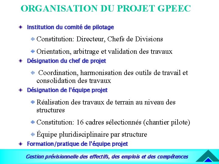 ORGANISATION DU PROJET GPEEC Institution du comité de pilotage Constitution: Directeur, Chefs de Divisions