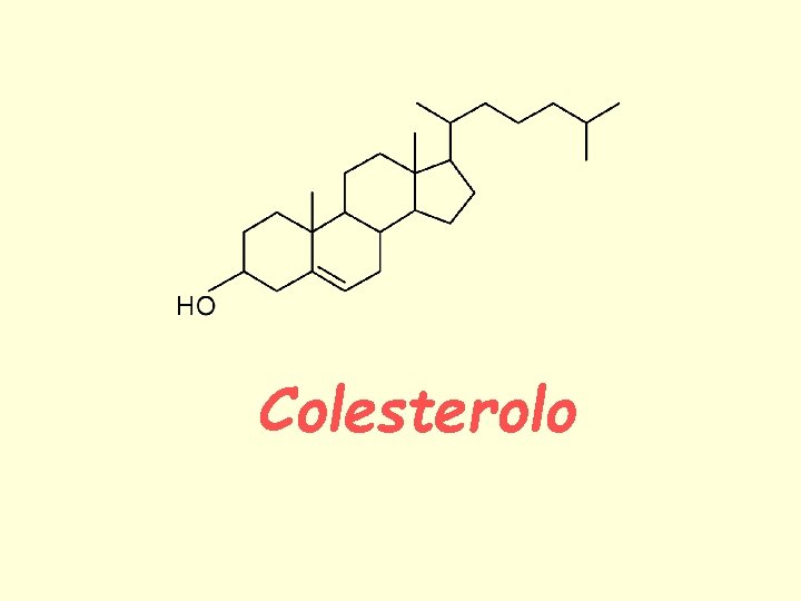 Colesterolo 