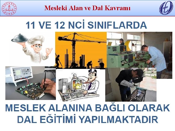 Mesleki Alan ve Dal Kavramı 