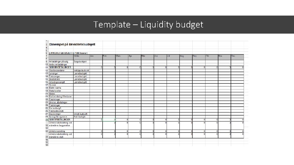 Template – Liquidity budget 