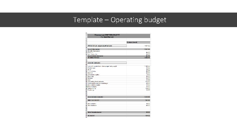 Template – Operating budget 