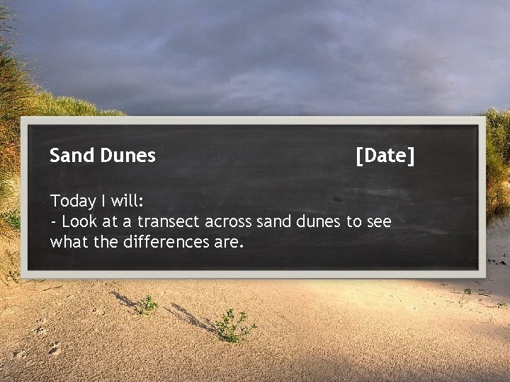 Sand Dunes [Date] Today I will: - Look at a transect across sand dunes