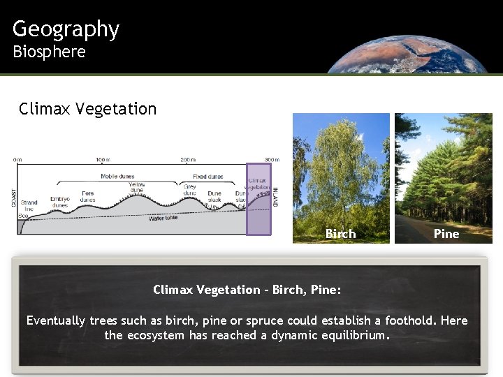 Geography Biosphere Climax Vegetation Birch Pine Climax Vegetation – Birch, Pine: Eventually trees such