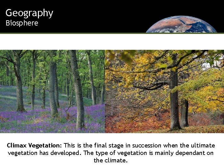 Geography Biosphere Climax Vegetation: This is the final stage in succession when the ultimate