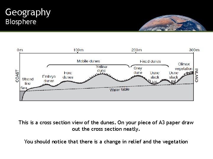 Geography Biosphere This is a cross section view of the dunes. On your piece