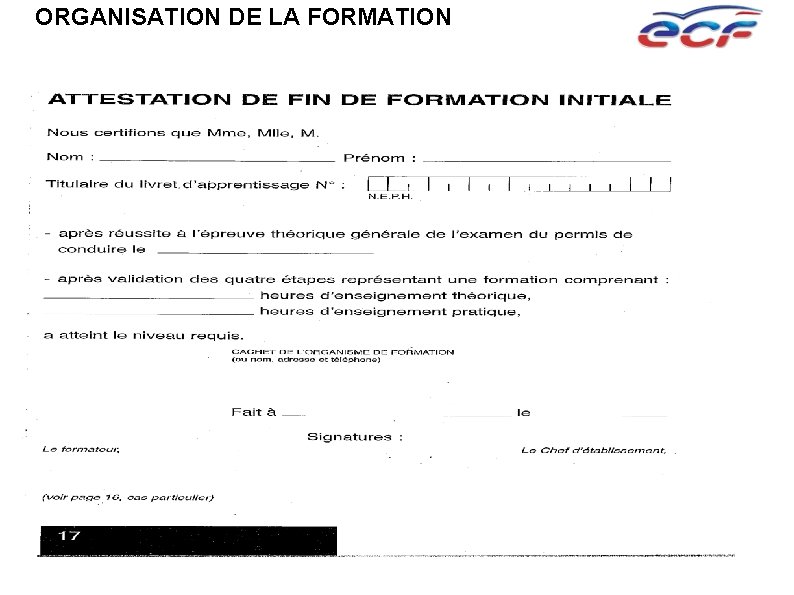 ORGANISATION DE LA FORMATION 