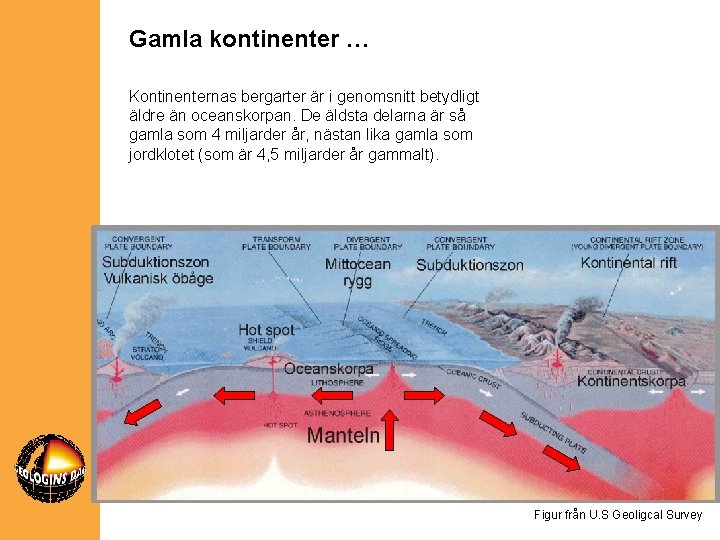 Gamla kontinenter … Kontinenternas bergarter är i genomsnitt betydligt äldre än oceanskorpan. De äldsta