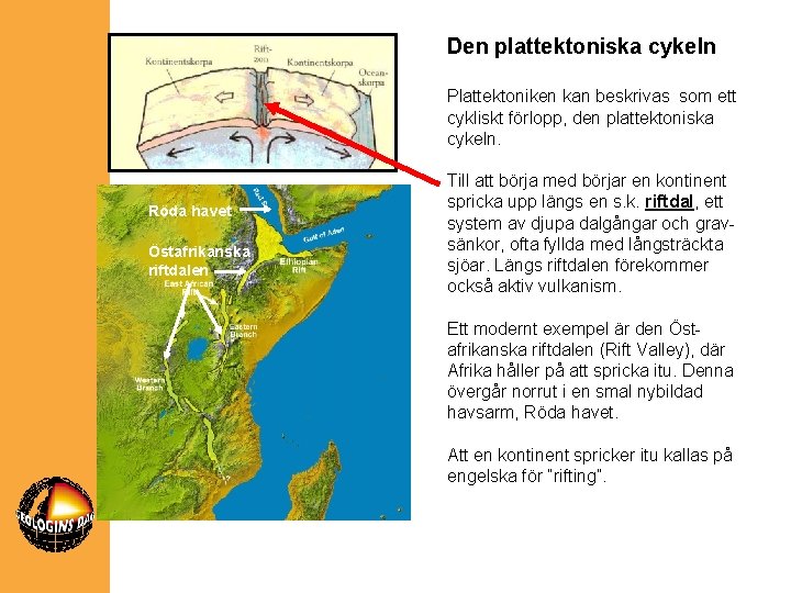 Den plattektoniska cykeln Plattektoniken kan beskrivas som ett cykliskt förlopp, den plattektoniska cykeln. Röda