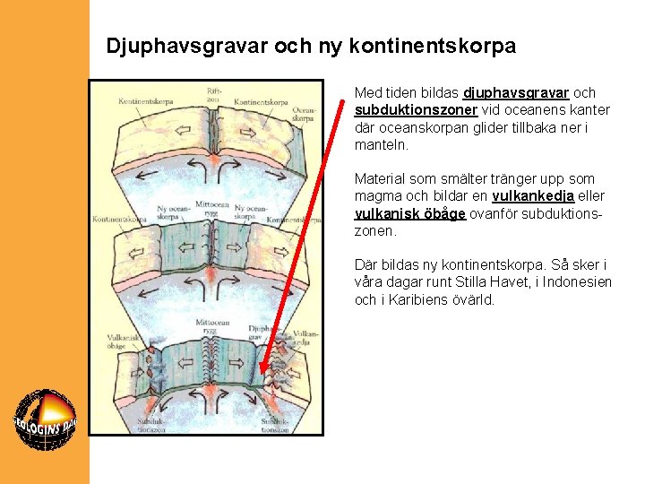 Djuphavsgravar och ny kontinentskorpa Med tiden bildas djuphavsgravar och subduktionszoner vid oceanens kanter där