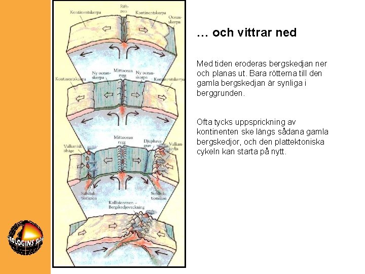 … och vittrar ned Med tiden eroderas bergskedjan ner och planas ut. Bara rötterna