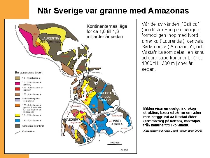 När Sverige var granne med Amazonas Vår del av världen, ”Baltica” (nordöstra Europa), hängde