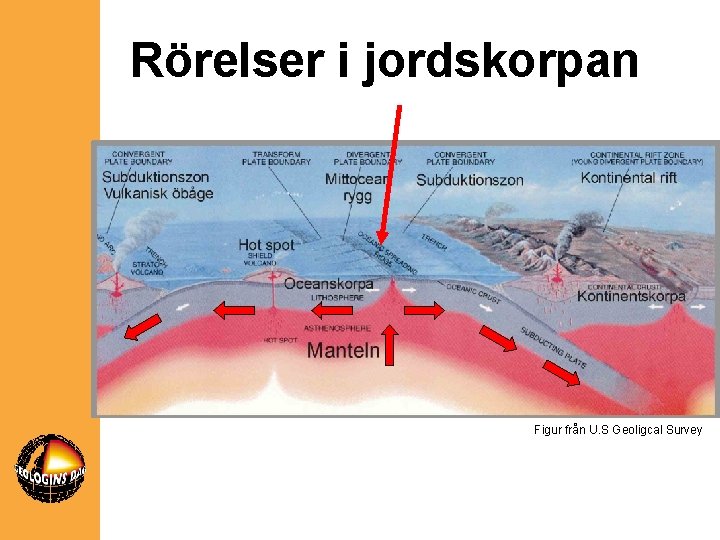 Rörelser i jordskorpan Figur från U. S Geoligcal Survey 