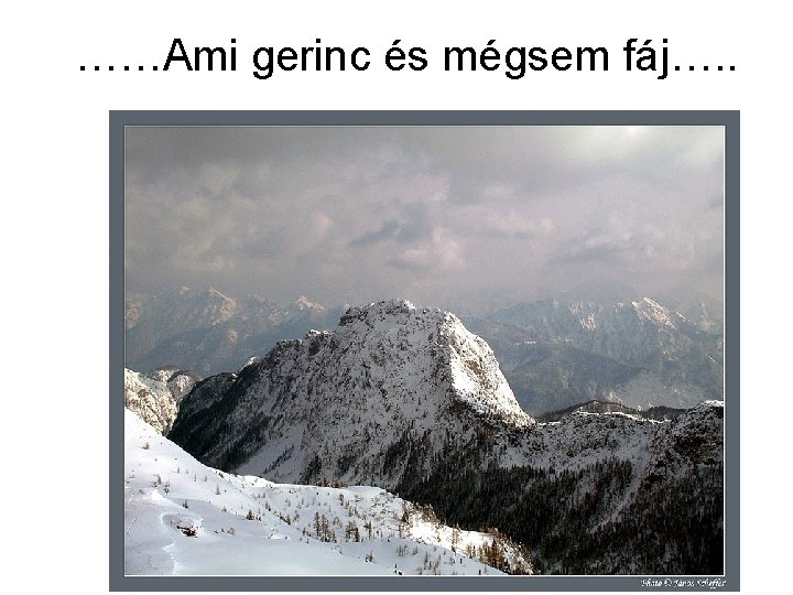……Ami gerinc és mégsem fáj…. . 