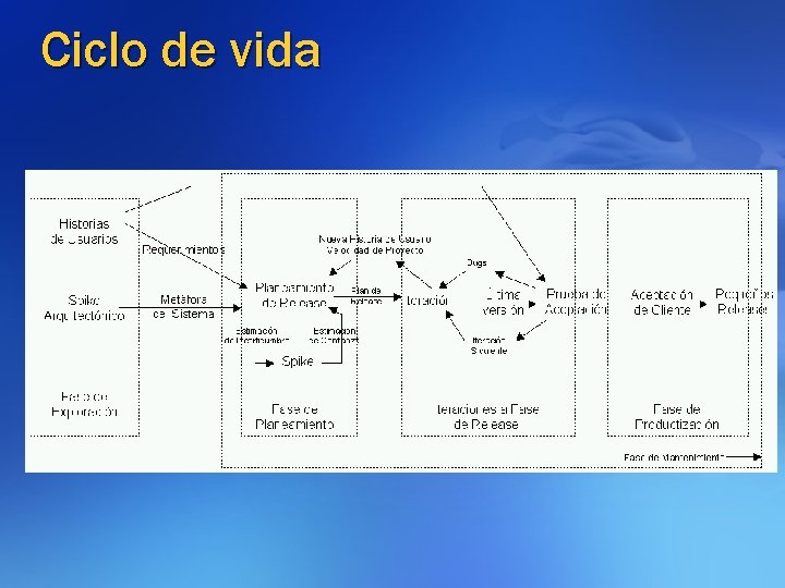 Ciclo de vida 