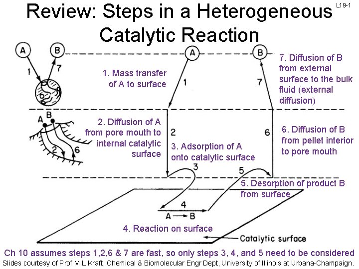 Review: Steps in a Heterogeneous Catalytic Reaction 7. Diffusion of B from external surface