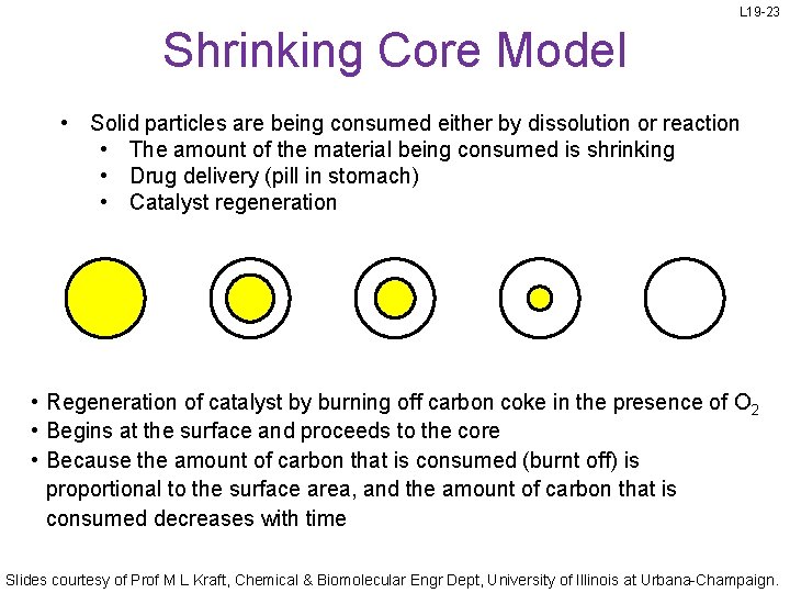 L 19 -23 Shrinking Core Model • Solid particles are being consumed either by