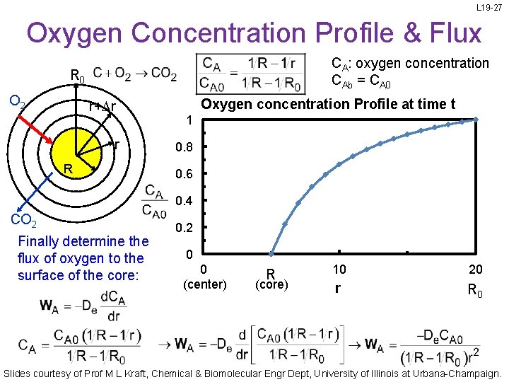 L 19 -27 Oxygen Concentration Profile & Flux CA: oxygen concentration CAb = CA