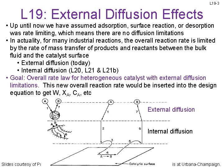 L 19 -3 L 19: External Diffusion Effects • Up until now we have