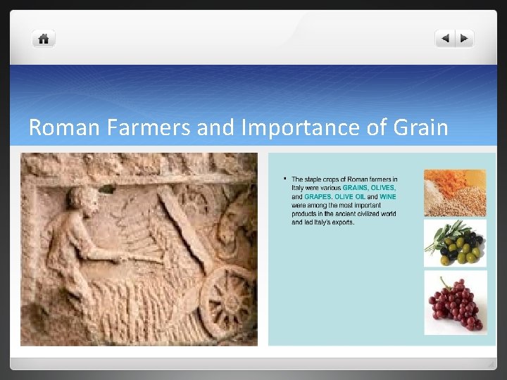 Roman Farmers and Importance of Grain 