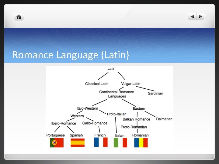 Romance Language (Latin) 