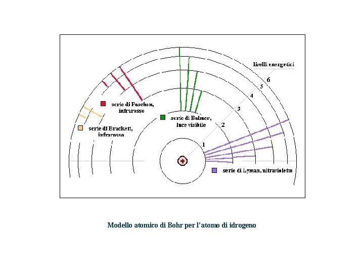  Modello atomico di Bohr per l’atomo di idrogeno 