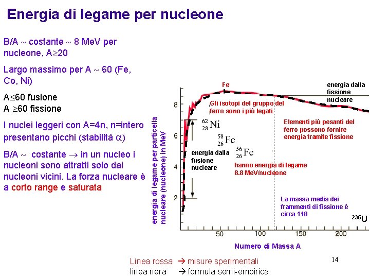 Energia di legame per nucleone B/A costante 8 Me. V per nucleone, A 20