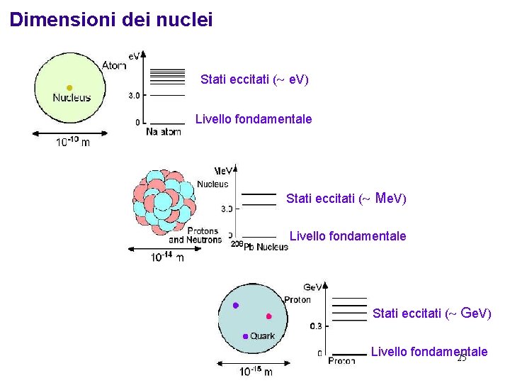 Dimensioni dei nuclei Stati eccitati ( e. V) Livello fondamentale Stati eccitati ( Me.