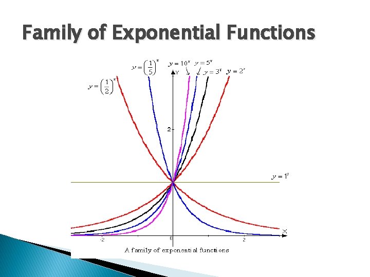 Family of Exponential Functions 