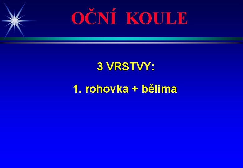 OČNÍ KOULE 3 VRSTVY: 1. rohovka + bělima 
