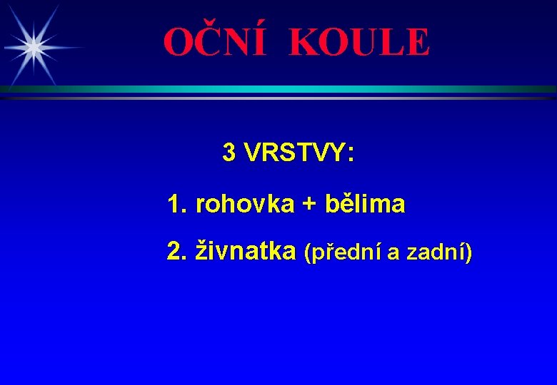 OČNÍ KOULE 3 VRSTVY: 1. rohovka + bělima 2. živnatka (přední a zadní) 