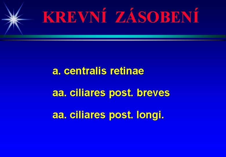 KREVNÍ ZÁSOBENÍ a. centralis retinae aa. ciliares post. breves aa. ciliares post. longi. 