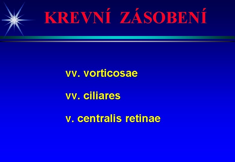 KREVNÍ ZÁSOBENÍ vv. vorticosae vv. ciliares v. centralis retinae 