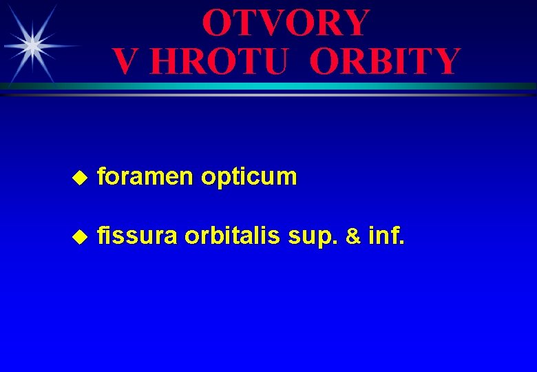 OTVORY V HROTU ORBITY u foramen opticum u fissura orbitalis sup. & inf. 