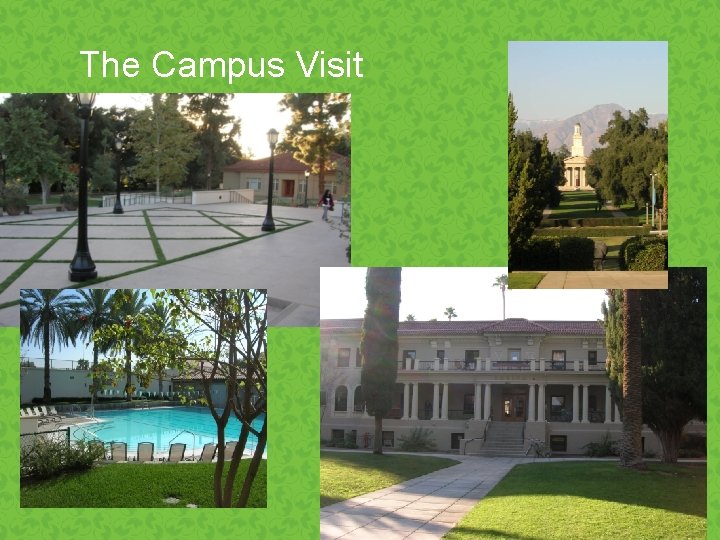 The Campus Visit 