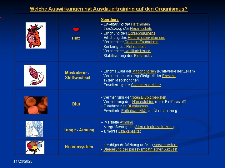  Welche Auswirkungen hat Ausdauertraining auf den Organismus? Herz Muskulatur Stoffwechsel Blut Lunge -