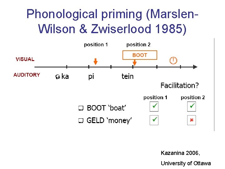 Phonological priming (Marslen. Wilson & Zwiserlood 1985) Kazanina 2006, University of Ottawa 