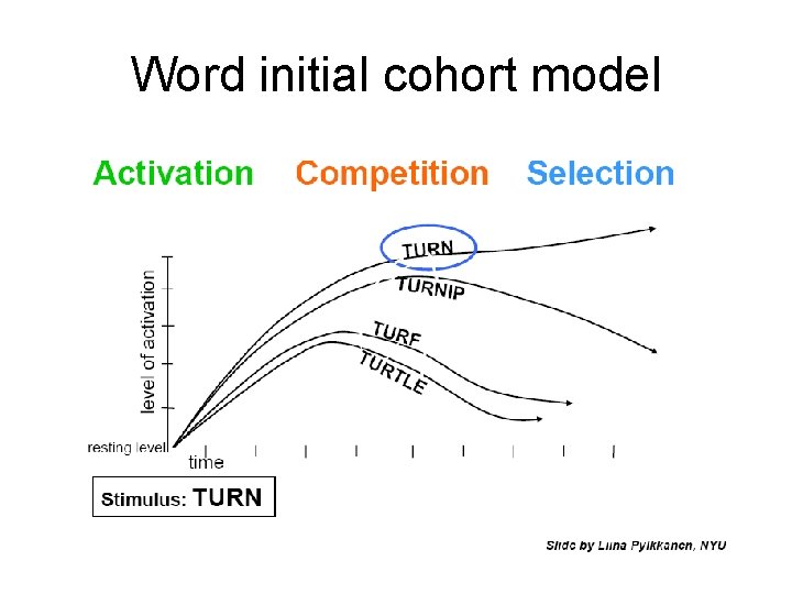 Word initial cohort model 