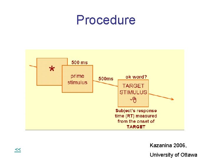 Procedure << Kazanina 2006, University of Ottawa 