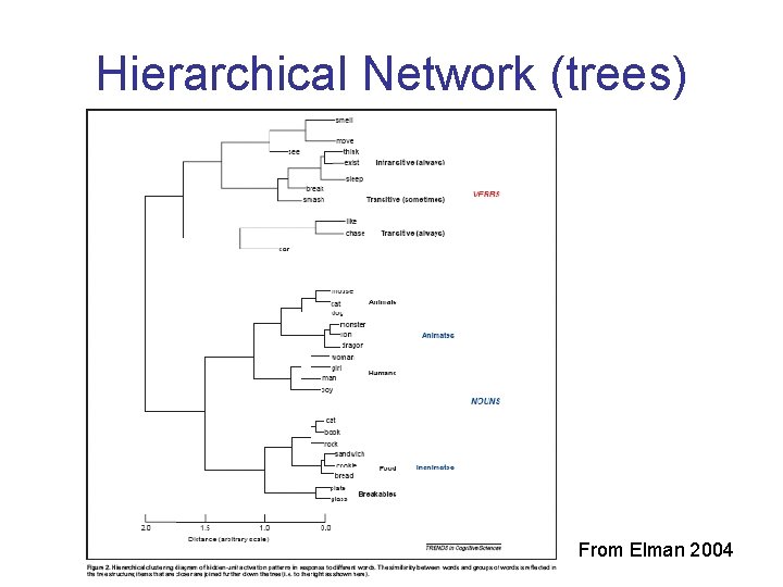 Hierarchical Network (trees) From Elman 2004 