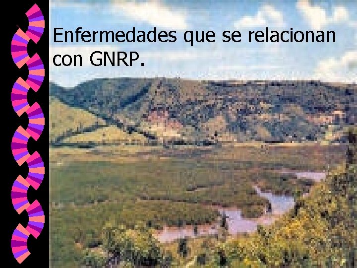 Enfermedades que se relacionan con GNRP. 