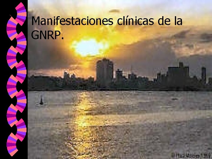 Manifestaciones clínicas de la GNRP. 