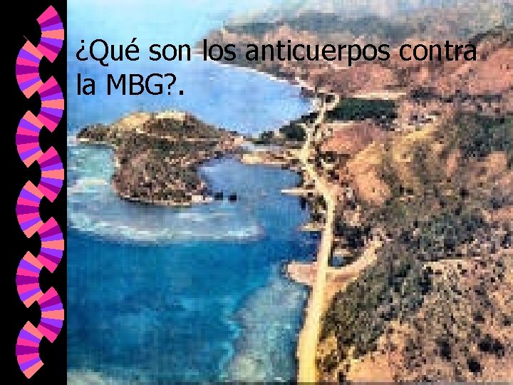 ¿Qué son los anticuerpos contra la MBG? . 