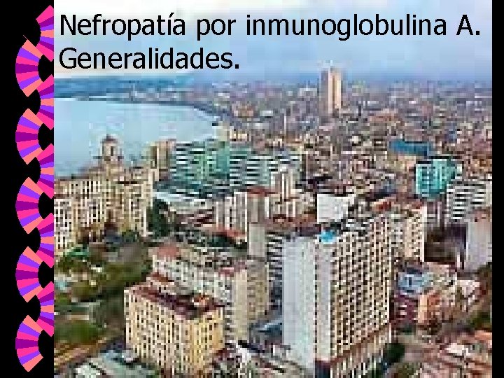 Nefropatía por inmunoglobulina A. Generalidades. 
