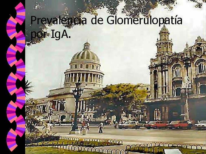 Prevalencia de Glomerulopatía por Ig. A. 